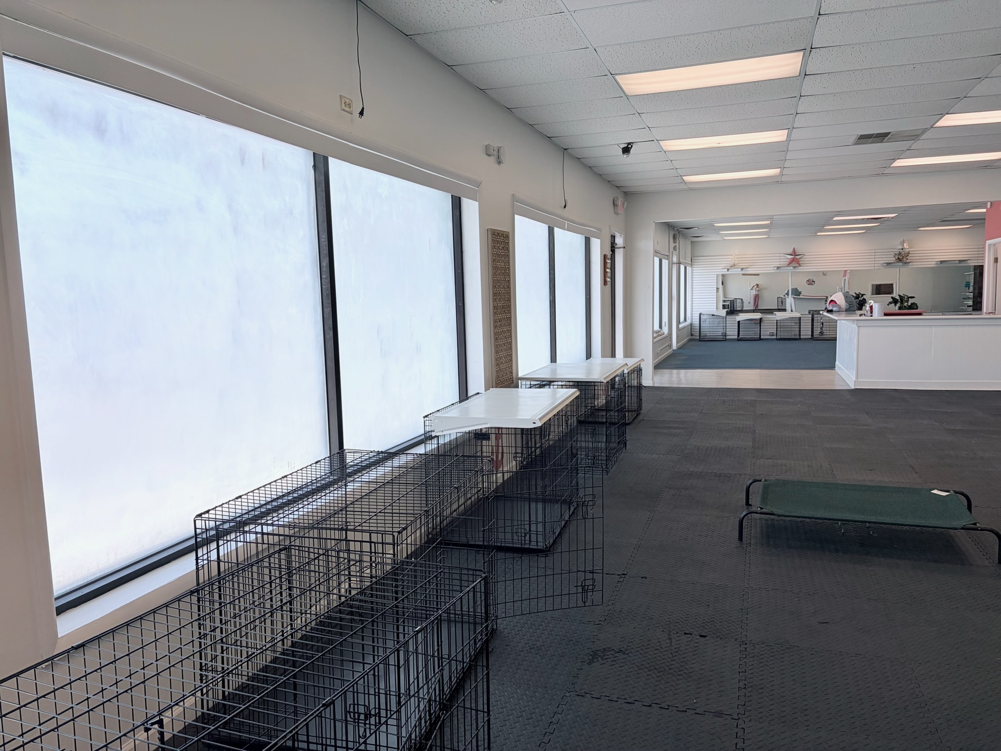 Marmora Dog Daycare