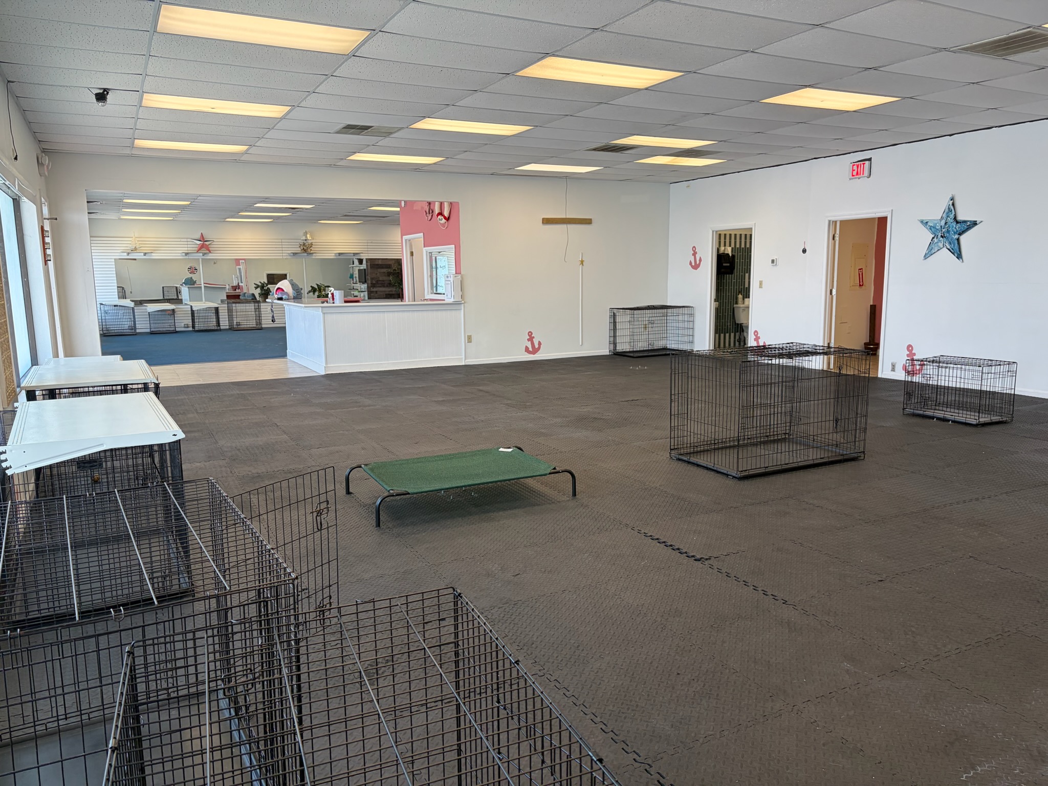 Middle Township Dog Boarding
